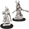 D&D Nolzur's Marvelous Miniatures - Human Female Druid (73701)