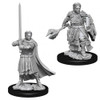 D&D Nolzur's Marvelous Miniatures - Human Male Cleric (73672)