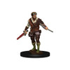 D&D Icons of the Realms Premium Figures (Wave 4) - Human Rogue Male