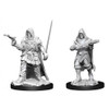 Pathfinder Battles Deep Cuts - Human Male Rogue (90168)