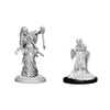 D&D Nolzur's Marvelous Miniatures - Green Hag & Night Hag (73402)