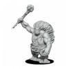 D&D Nolzur's Marvelous Miniatures - Hill Giant (73679)