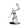 D&D Nolzur's Marvelous Miniatures - Stone Giant (73681)