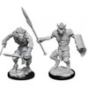 D&D Nolzur's Marvelous Miniatures - Gnoll & Gnoll Flesh Gnawer (90066)