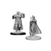 D&D Nolzur's Marvelous Miniatures - Minsc and Boo & Delina (73675)
