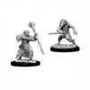 D&D Nolzur's Marvelous Miniatures - Kenku Adventurers (73840)