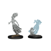 D&D Nolzur's Marvelous Miniatures - Ghost and Banshee (72564)