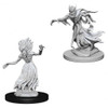 D&D Nolzur's Marvelous Miniatures - Wraith and Specter (72570)