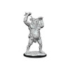 D&D Nolzur's Marvelous Miniatures (Wave 12.5) - Ettin