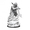 D&D Nolzur's Marvelous Miniatures - Djinni (90162)