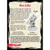 Dungeons & Dragons Collector's Series: Minsc & Boo