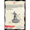 Dungeons & Dragons Collector's Series: Rage of Demons - Graz'zt