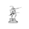 Dungeons & Dragons Collector's Series: Waterdeep Dragon Heist - Jarlaxle Baenre