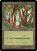 Forest (APAC Land Blue - China) | Promotional Cards