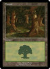 Forest (EURO Land Purple - U.K.)