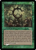 Oath of Druids (Judge Foil)