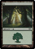 Forest (MPS 2007 Promo non-foil) | Promotional Cards
