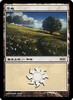 Plains (MPS 2007 Promo foil) | Promotional Cards