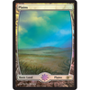 Plains (Extended Art) (Judge Foil)