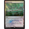 Blighted Fen (FNM foil)