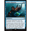 Arcane Adaptation (Ixalan Prerelease foil) | Promotional Cards