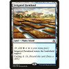Irrigated Farmland (Amonkhet Prerelease foil) | Promotional Cards
