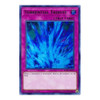 BLRR-EN047 Torrential Tribute
