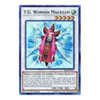 BLRR-EN057 T.G. Wonder Magician