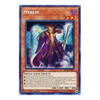 BLRR-EN073 Merlin