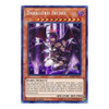BLRR-EN076 Darklord Ixchel