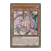 DUDE-EN006 Red Blossoms from Underroot
