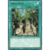 ANGU-EN051 Snake Rain