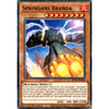 BLVO-EN008 Springans Branga