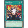 ETCO-EN058 Link Burst