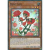 ETCO-EN081 Rose Girl