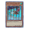 GFTP-EN076 Mist Valley Baby Roc