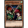 LDS2-EN065 Harpie Lady Sisters (Regular Version)