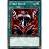 LDS2-EN079 Cyber Shield