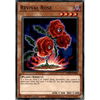 LDS2-EN098 Revival Rose