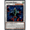 LDS2-EN111 Splendid Rose