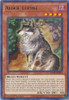 MP20-EN015 Aloof Lupine