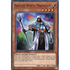 SBCB-EN007 Skilled White Magician