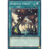 SBCB-EN056 Spiritual Forest