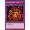 SBCB-EN122 Widespread Ruin