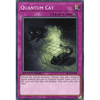 SBCB-EN200 Quantum Cat