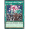 SDCH-EN023 Spellbook of Knowledge