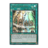 SDCH-EN041 Spirit Charmers