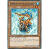 SDFC-EN009 Defender of the Ice Barrier