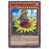 SESL-EN053 Marina, Princess of Sunflowers