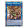 IGAS-EN048 Aussa the Earth Charmer, Immovable (Starlight Rare)